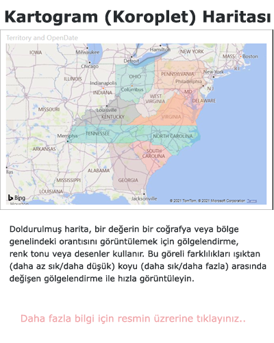 Power BI Kartogram (Koroplet) Haritası Grafiği