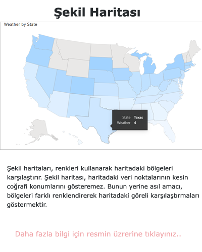 Power BI Şekil Haritası Grafiği